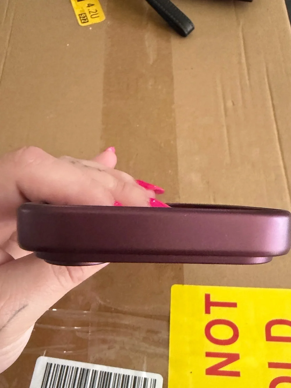 iPhone 17 PRO Phone Case